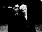 roxette_3.jpg (21kb)